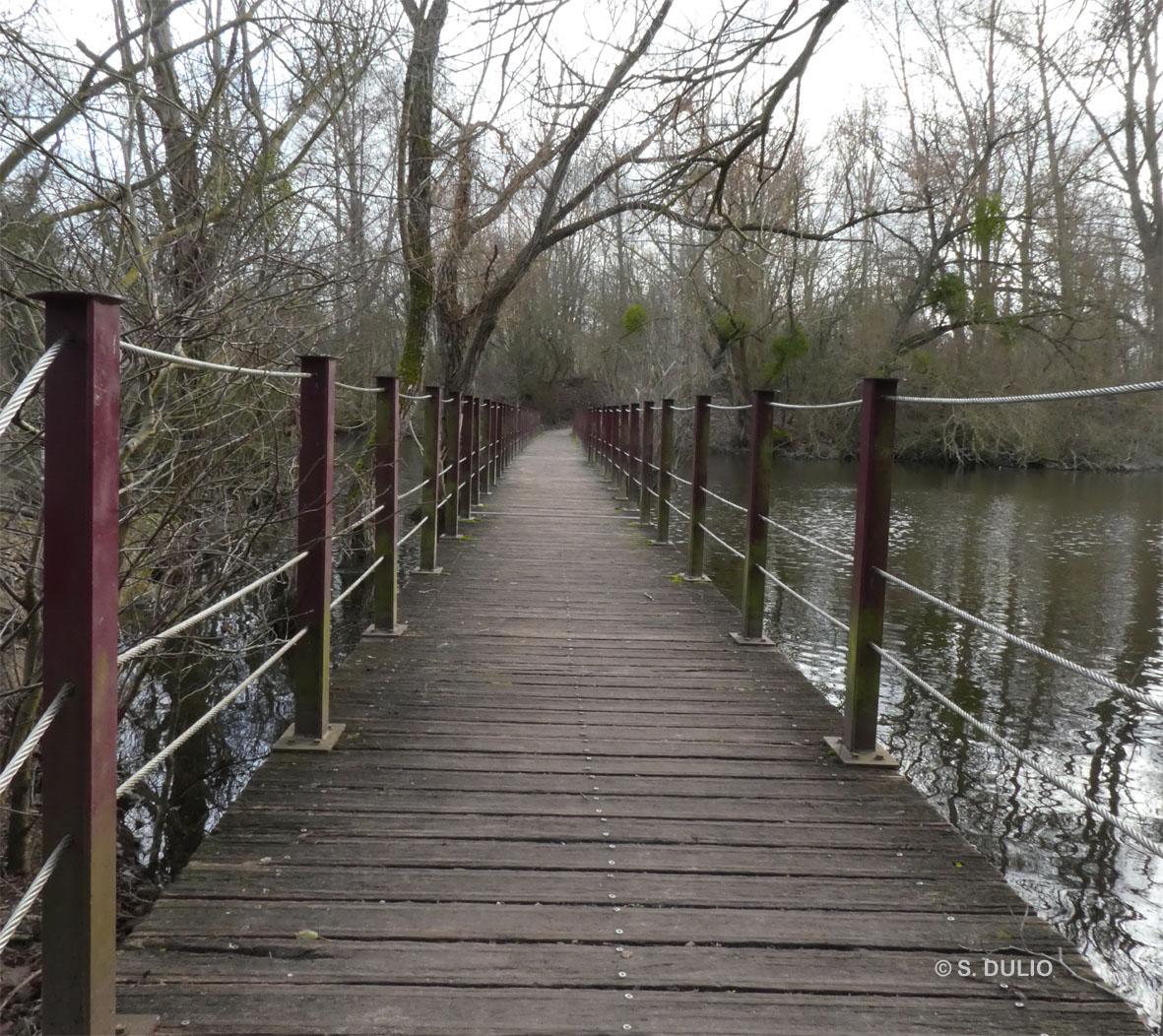 Photos patis site copie